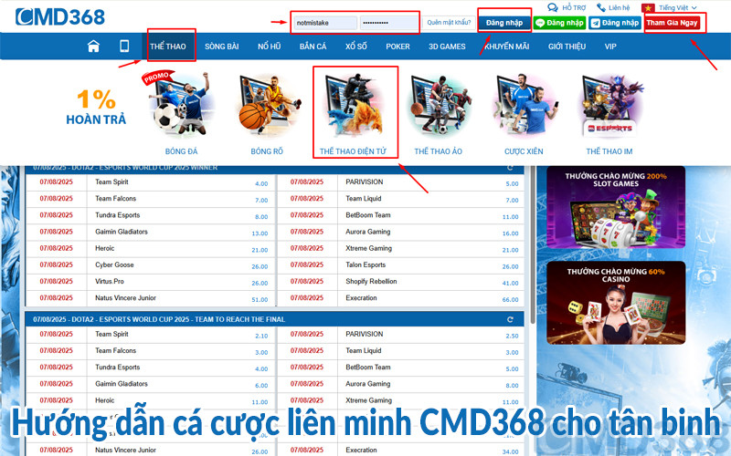 Hướng dẫn cá cược liên minh CMD368 cho tân binh